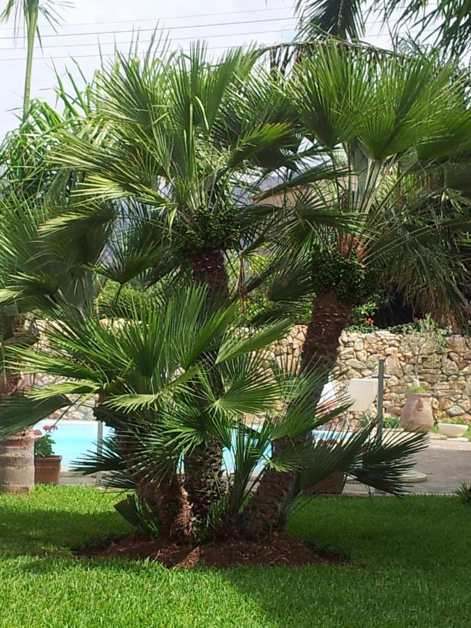 Villa Manzella Piscina Privata 奇尼斯 外观 照片
